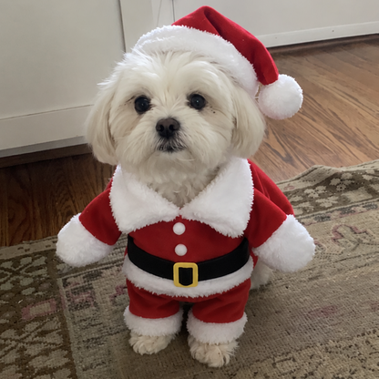 Cozy Christmas Pajamas for Small Dogs