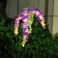 4-Headed Wisteria - Purple