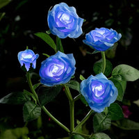 5-Headed Rose - Blue