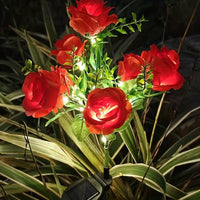 5-Headed Rose - Red