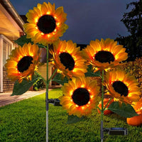 6-Headed Sunflower - Warm Light