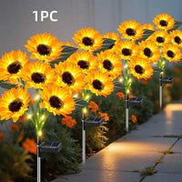 3-Headed Dandelion - Warm Light