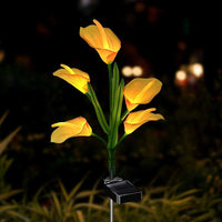 4-Headed Calla Lily - White