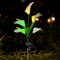 4-Headed Calla Lily - Purple