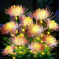 3-Headed Spider Lily - Pink